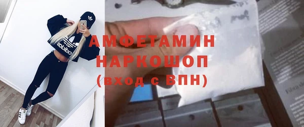 гашик Алексеевка
