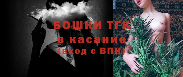 гашик Алексеевка